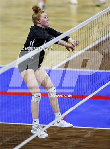 null - Photo 41