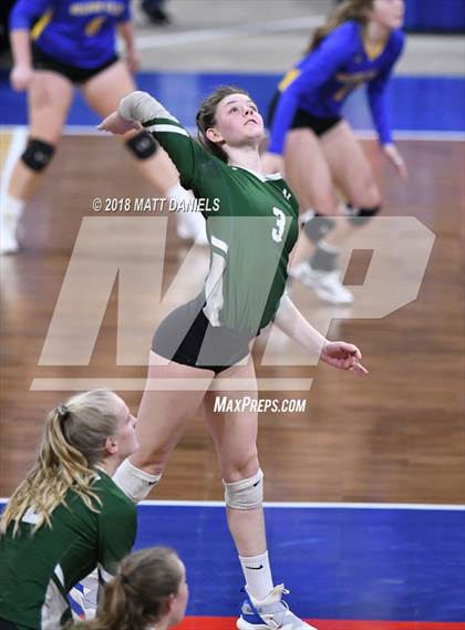 Thumbnail 1 in Niwot vs. Cheyenne Mountain (CHSAA 4A Playoff) photogallery.