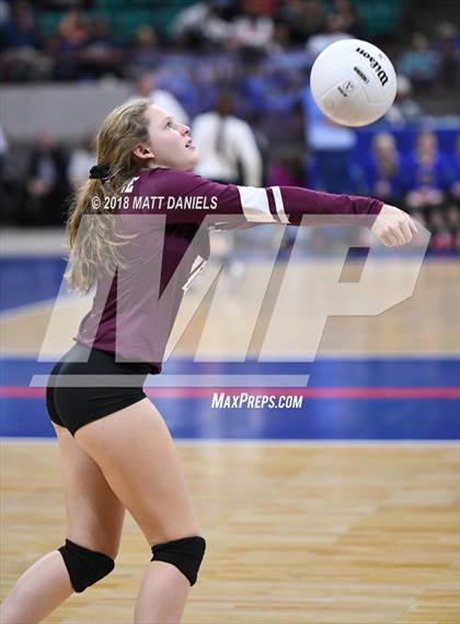 Thumbnail 2 in Niwot vs. Cheyenne Mountain (CHSAA 4A Playoff) photogallery.