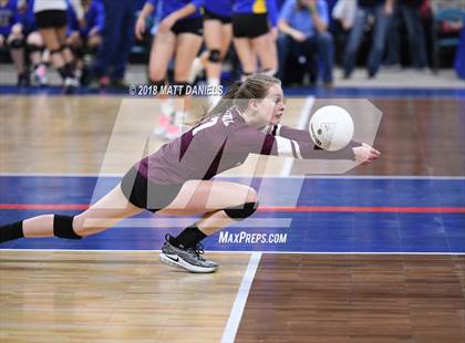 Thumbnail 1 in Niwot vs. Cheyenne Mountain (CHSAA 4A Playoff) photogallery.
