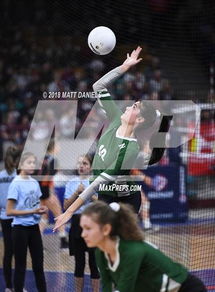 Thumbnail 1 in Niwot vs. Cheyenne Mountain (CHSAA 4A Playoff) photogallery.