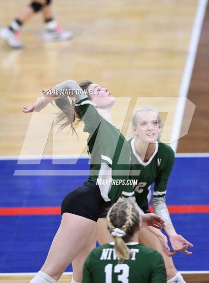 Thumbnail 2 in Niwot vs. Cheyenne Mountain (CHSAA 4A Playoff) photogallery.