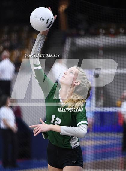 Thumbnail 1 in Niwot vs. Cheyenne Mountain (CHSAA 4A Playoff) photogallery.