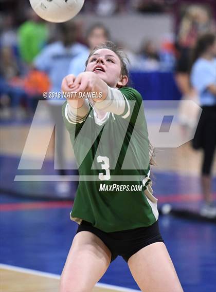 Thumbnail 1 in Niwot vs. Cheyenne Mountain (CHSAA 4A Playoff) photogallery.