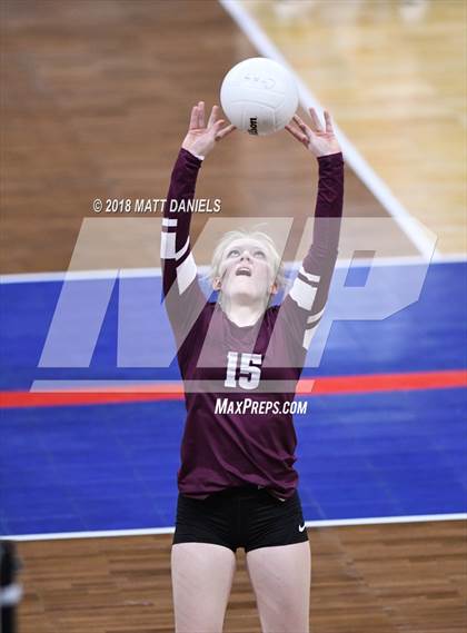 Thumbnail 3 in Niwot vs. Cheyenne Mountain (CHSAA 4A Playoff) photogallery.