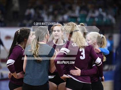 Thumbnail 2 in Niwot vs. Cheyenne Mountain (CHSAA 4A Playoff) photogallery.