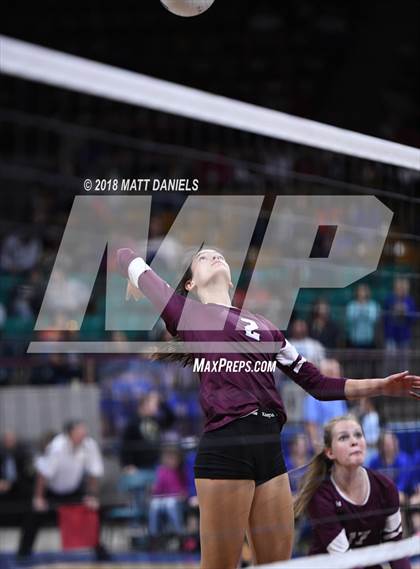 Thumbnail 2 in Niwot vs. Cheyenne Mountain (CHSAA 4A Playoff) photogallery.