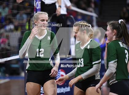 Thumbnail 3 in Niwot vs. Cheyenne Mountain (CHSAA 4A Playoff) photogallery.