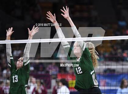 Thumbnail 1 in Niwot vs. Cheyenne Mountain (CHSAA 4A Playoff) photogallery.