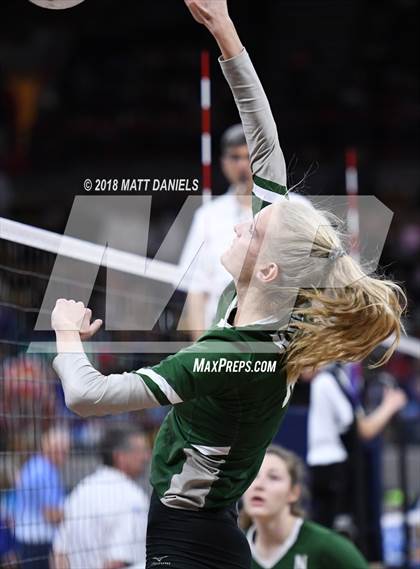Thumbnail 2 in Niwot vs. Cheyenne Mountain (CHSAA 4A Playoff) photogallery.