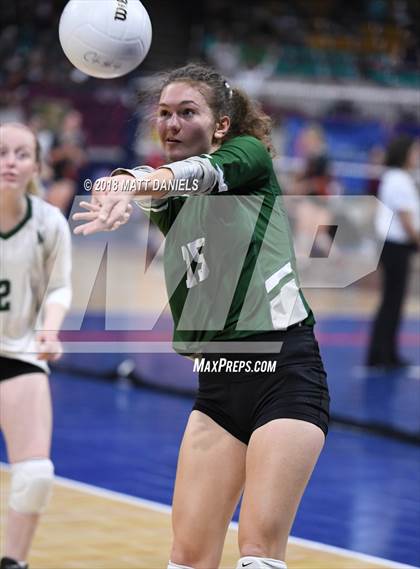 Thumbnail 3 in Niwot vs. Cheyenne Mountain (CHSAA 4A Playoff) photogallery.