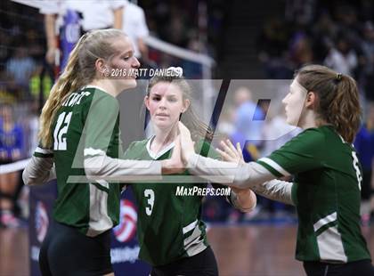 Thumbnail 1 in Niwot vs. Cheyenne Mountain (CHSAA 4A Playoff) photogallery.