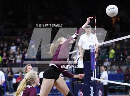 Thumbnail 2 in Niwot vs. Cheyenne Mountain (CHSAA 4A Playoff) photogallery.