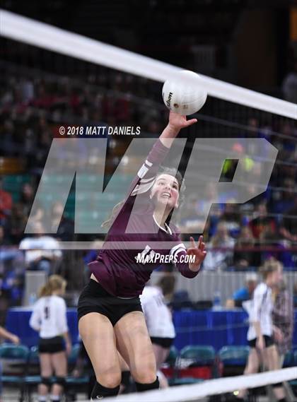 Thumbnail 3 in Niwot vs. Cheyenne Mountain (CHSAA 4A Playoff) photogallery.