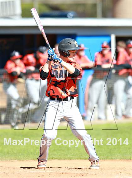 Thumbnail 1 in Orange vs. Archbishop Moeller  photogallery.