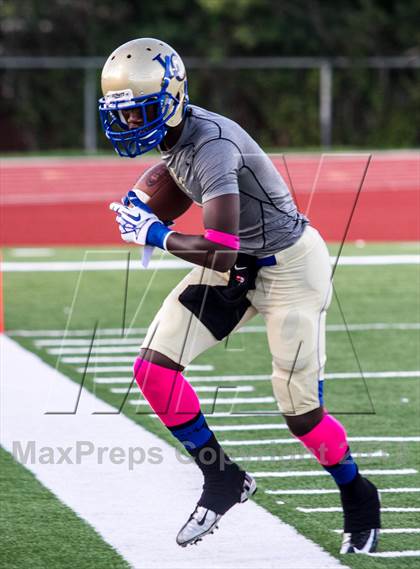 Thumbnail 3 in Lakeview Centennial @ Sachse photogallery.
