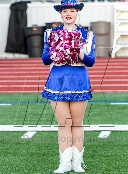 Thumbnail 2 in Lakeview Centennial @ Sachse photogallery.