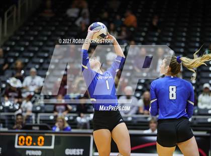 Thumbnail 2 in Fayetteville vs. Sulphur Bluff (UIL Volleyball 1A Semifinals) photogallery.