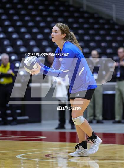 Thumbnail 2 in Fayetteville vs. Sulphur Bluff (UIL Volleyball 1A Semifinals) photogallery.