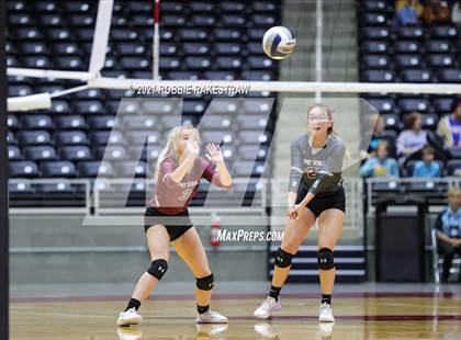 Thumbnail 3 in Fayetteville vs. Sulphur Bluff (UIL Volleyball 1A Semifinals) photogallery.
