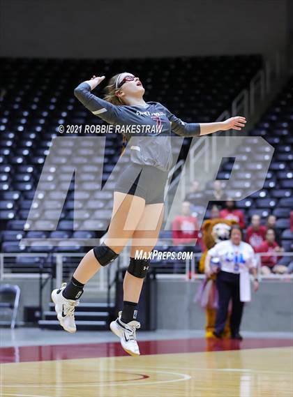 Thumbnail 1 in Fayetteville vs. Sulphur Bluff (UIL Volleyball 1A Semifinals) photogallery.