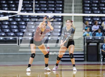 Thumbnail 1 in Fayetteville vs. Sulphur Bluff (UIL Volleyball 1A Semifinals) photogallery.