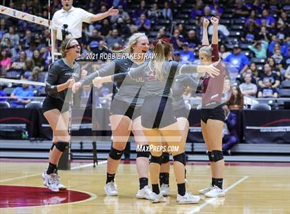 Thumbnail 1 in Fayetteville vs. Sulphur Bluff (UIL Volleyball 1A Semifinals) photogallery.