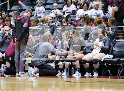 Thumbnail 2 in Fayetteville vs. Sulphur Bluff (UIL Volleyball 1A Semifinals) photogallery.
