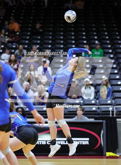 Thumbnail 1 in Fayetteville vs. Sulphur Bluff (UIL Volleyball 1A Semifinals) photogallery.