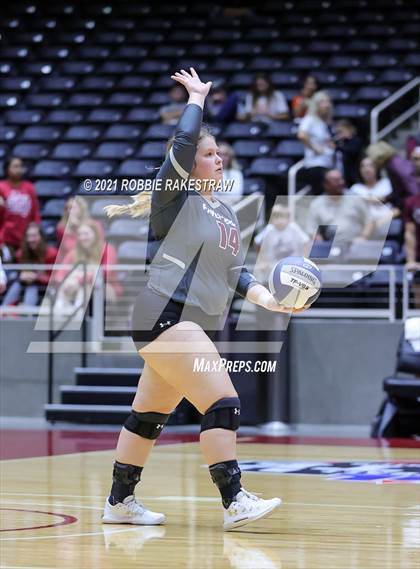 Thumbnail 1 in Fayetteville vs. Sulphur Bluff (UIL Volleyball 1A Semifinals) photogallery.