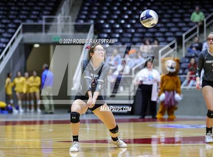 Thumbnail 1 in Fayetteville vs. Sulphur Bluff (UIL Volleyball 1A Semifinals) photogallery.