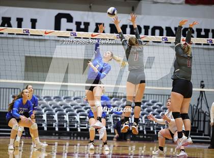 Thumbnail 2 in Fayetteville vs. Sulphur Bluff (UIL Volleyball 1A Semifinals) photogallery.