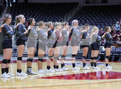 Thumbnail 3 in Fayetteville vs. Sulphur Bluff (UIL Volleyball 1A Semifinals) photogallery.