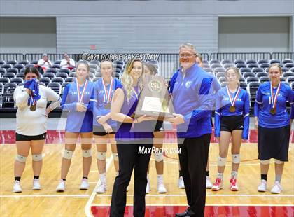 Thumbnail 1 in Fayetteville vs. Sulphur Bluff (UIL Volleyball 1A Semifinals) photogallery.