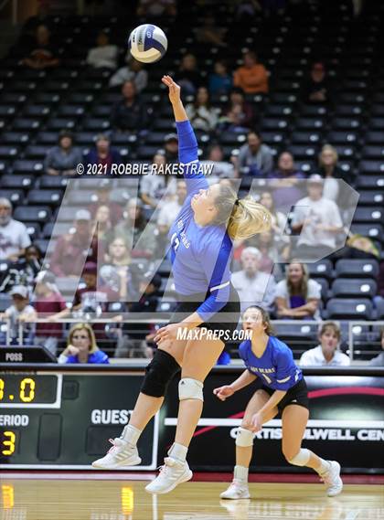Thumbnail 1 in Fayetteville vs. Sulphur Bluff (UIL Volleyball 1A Semifinals) photogallery.