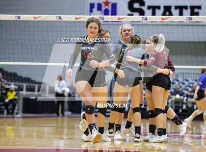 Thumbnail 1 in Fayetteville vs. Sulphur Bluff (UIL Volleyball 1A Semifinals) photogallery.