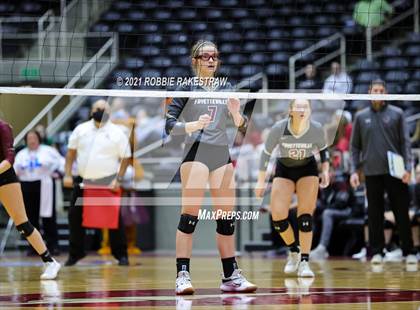 Thumbnail 3 in Fayetteville vs. Sulphur Bluff (UIL Volleyball 1A Semifinals) photogallery.