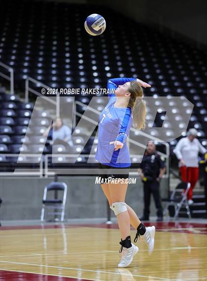 Thumbnail 1 in Fayetteville vs. Sulphur Bluff (UIL Volleyball 1A Semifinals) photogallery.