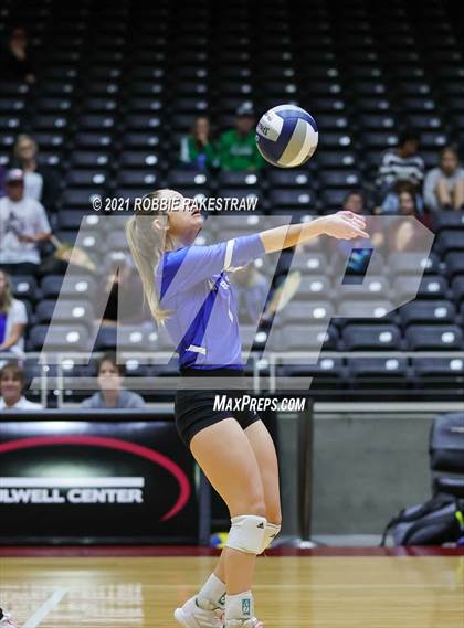 Thumbnail 1 in Fayetteville vs. Sulphur Bluff (UIL Volleyball 1A Semifinals) photogallery.