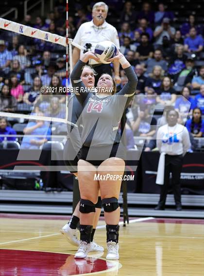 Thumbnail 1 in Fayetteville vs. Sulphur Bluff (UIL Volleyball 1A Semifinals) photogallery.