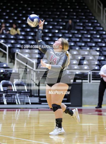 Thumbnail 1 in Fayetteville vs. Sulphur Bluff (UIL Volleyball 1A Semifinals) photogallery.