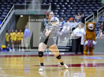 Thumbnail 2 in Fayetteville vs. Sulphur Bluff (UIL Volleyball 1A Semifinals) photogallery.