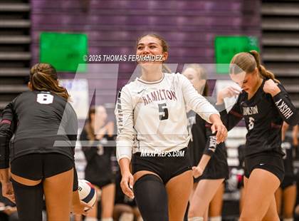 Thumbnail 2 in Basha @ Hamilton photogallery.