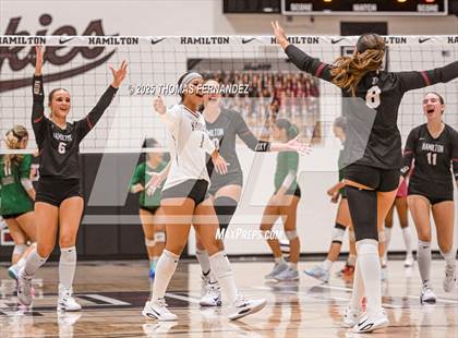 Thumbnail 3 in Basha @ Hamilton photogallery.