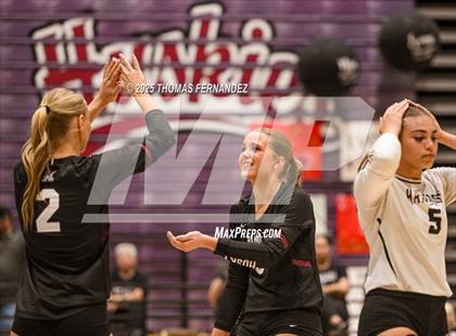 Thumbnail 1 in Basha @ Hamilton photogallery.