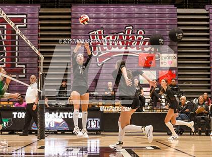 Thumbnail 3 in Basha @ Hamilton photogallery.