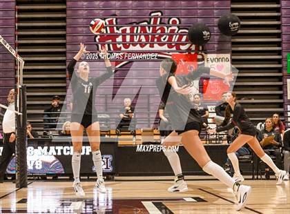 Thumbnail 2 in Basha @ Hamilton photogallery.