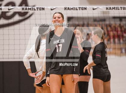 Thumbnail 2 in Basha @ Hamilton photogallery.