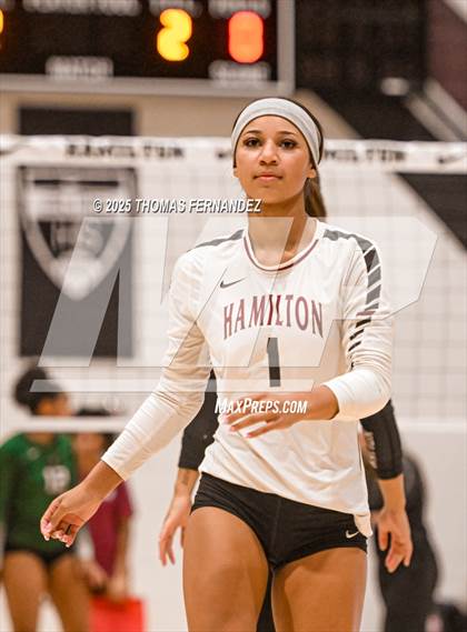 Thumbnail 3 in Basha @ Hamilton photogallery.