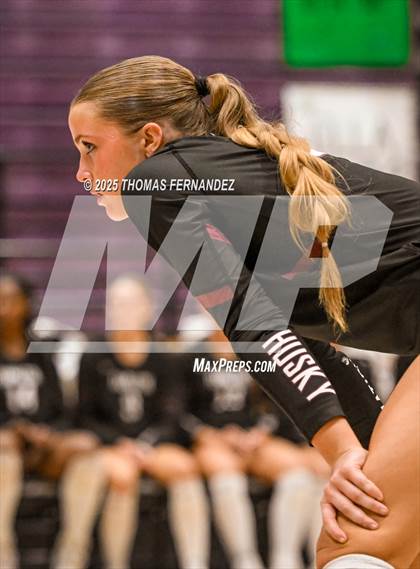 Thumbnail 1 in Basha @ Hamilton photogallery.